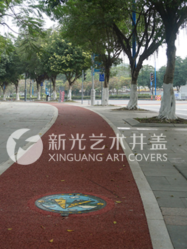 广州科学城开泰大道艺术井盖案例2